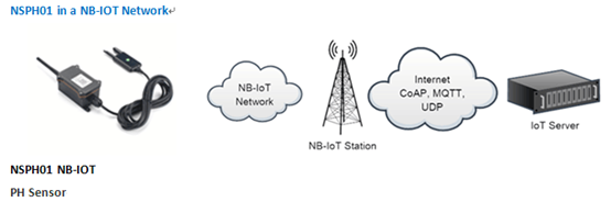 NSPH01 probe