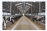 image-20220611153001-15.png